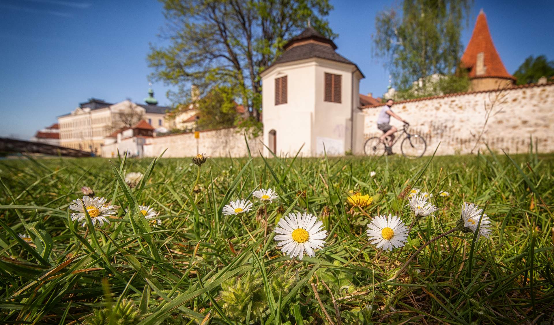 České Budějovice – město, které si zamilujete na první pohled