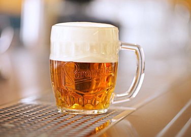 Potrefená husa České Budějovice OC IGY