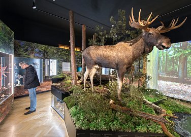 South Bohemian Museum in České Budějovice