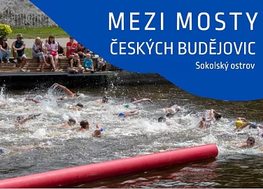 Mezi mosty Českých Budějovic plavecké závody