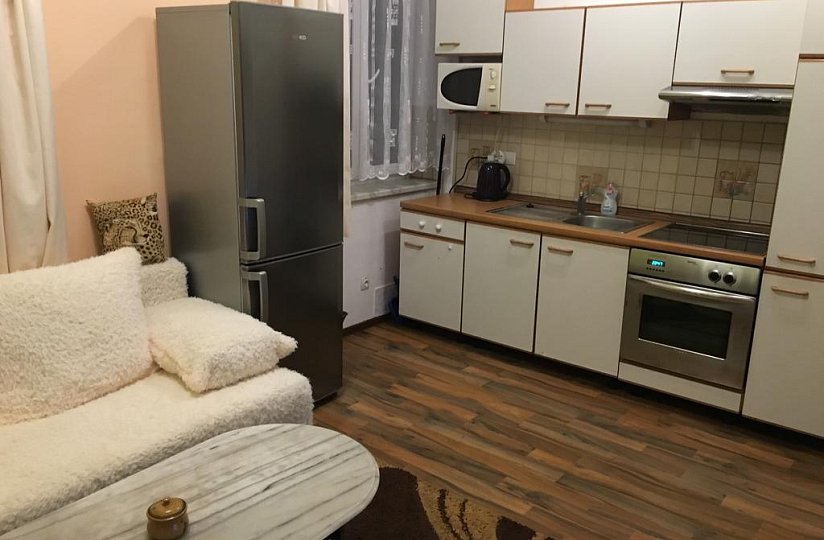 Apartment Hlinská