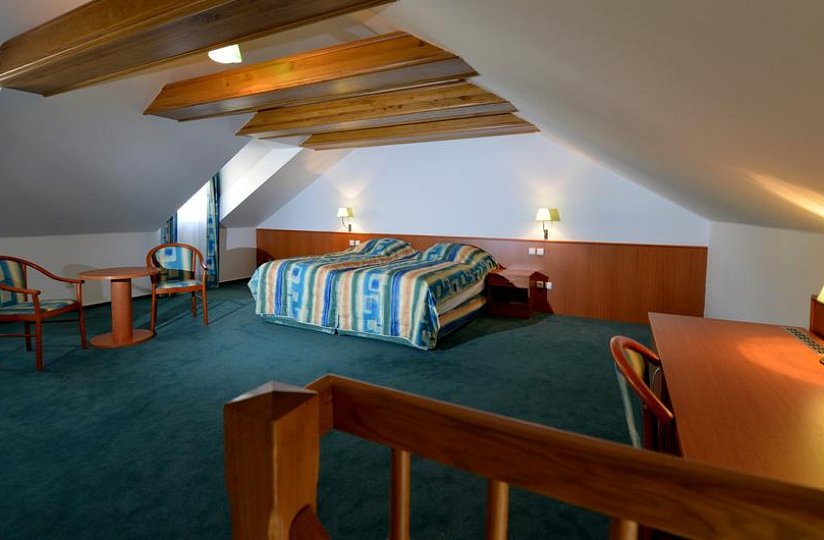 Hotel Dvořák