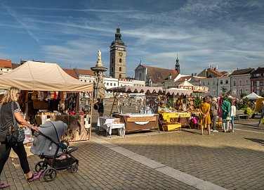 Herbstmärkte (Pflaume)