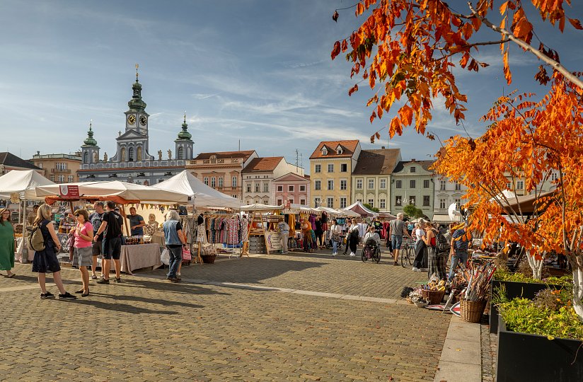 Herbstmärkte (Pflaume)